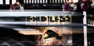 La storia di Endless Endless