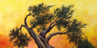 Gino Dalle Luche, contemplando il silenzio Gino Dalle Duche