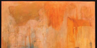 Raffaele Rossi si racconta : giochi tra colori e materia Raffaele Rossi