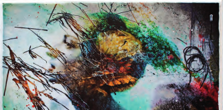 Raphael Mazzucco Raphael Mazzucco