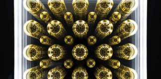 Incontro con Paolo Scirpa Paolo Scirpa