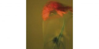 Bill Beckley : Transcendent Beauty Bill Beckley