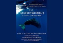 Una balena in una conchiglia